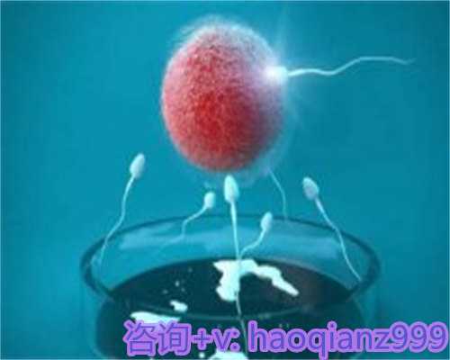 北京供卵流程，为您点燃生命之火，创造美好人生