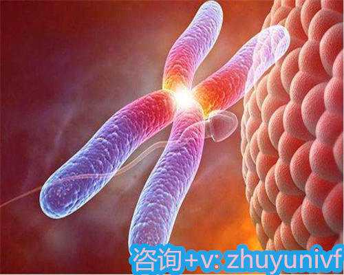 北京医院nk细胞疗法打一针多少钱？