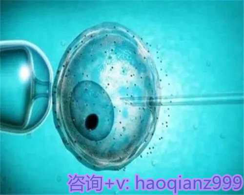 北京正规代怀多少钱,试管婴儿为什么要结婚证