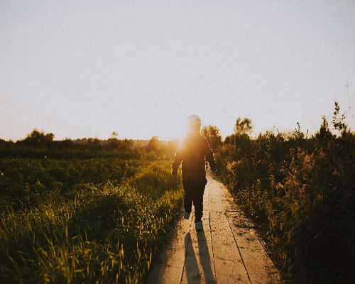 aa69供卵,沈阳借卵子费用