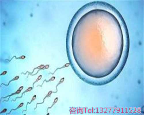 苏州哪个医院有正规的供卵让梦想成真还你一个家