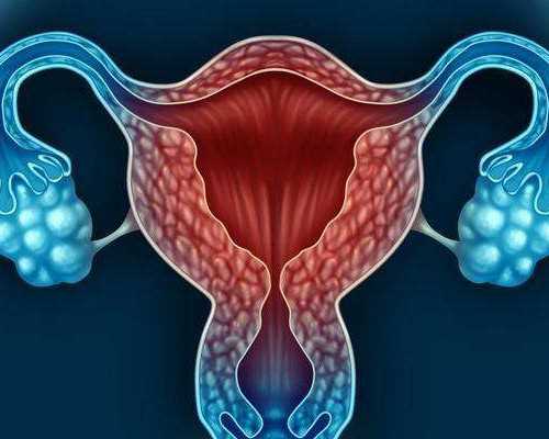 山东私人医院供卵试管费用,帮助不孕不育家庭完成人生大事