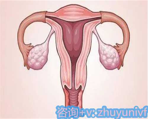 昆明私人机构供卵在不孕不育的路上不再孤独