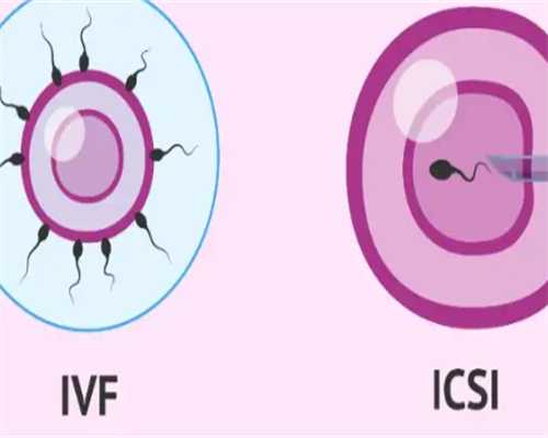 供卵机构介绍,福州哪家医院最早做试管婴儿？最早的医院试管婴儿技
