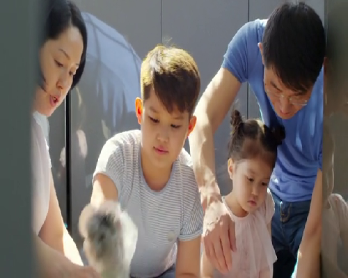 鸽子汤能帮助产妇回奶吗？