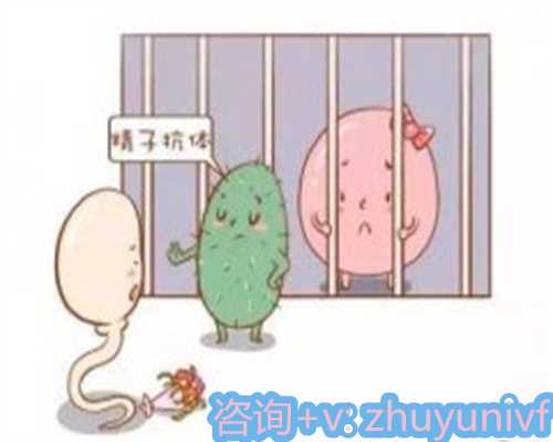 广东正规供卵中介公司,科学实现生育,让您轻松怀孕